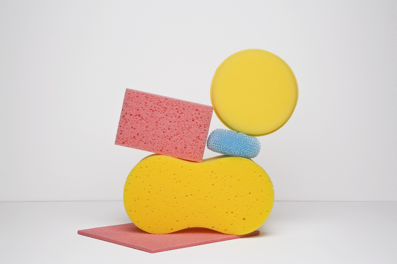 Soak up the knowledge like a sponge!