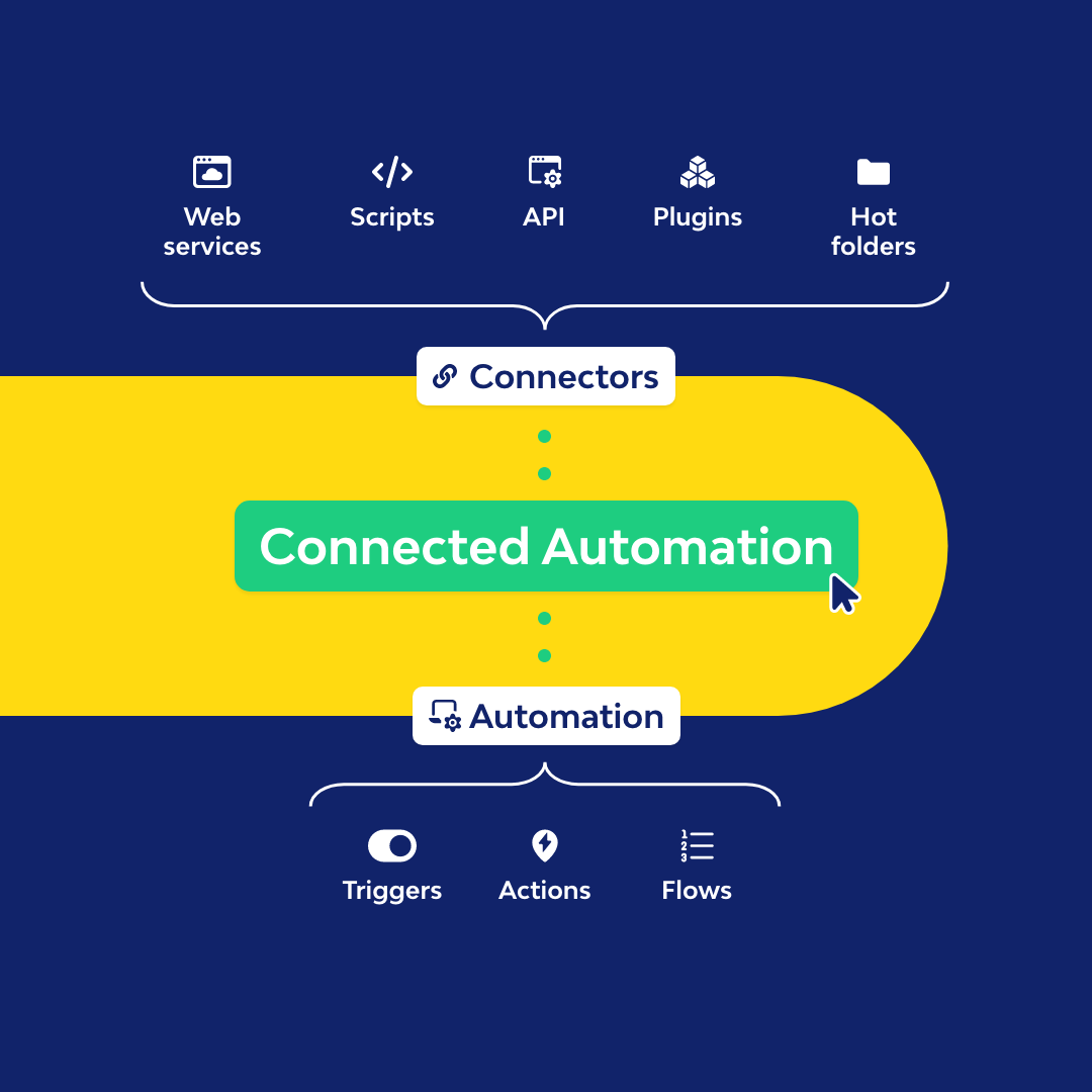 The whole picture: The importance of data and business intelligence