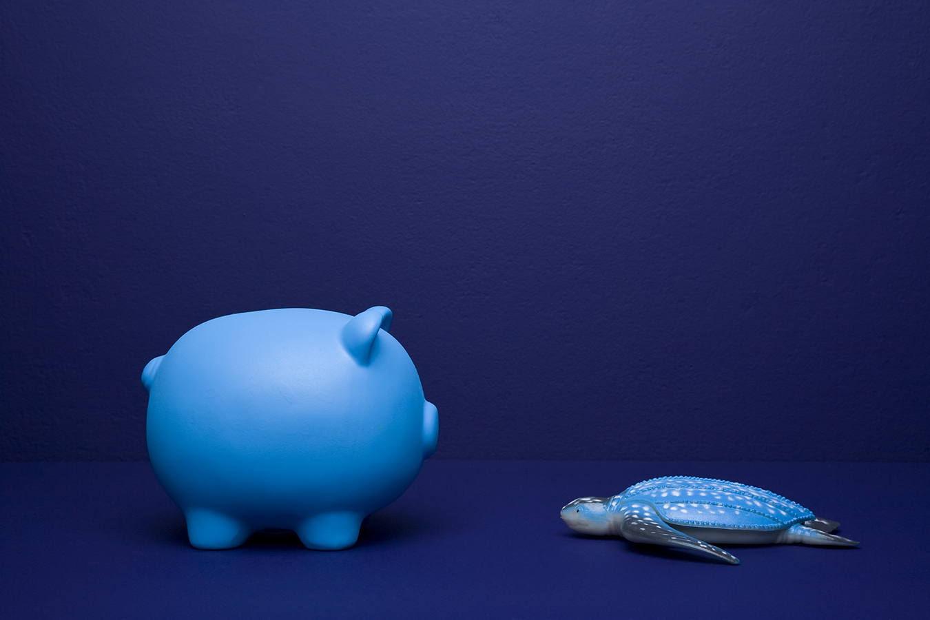 4 P Piggiebank Turtle Nightblue Skyblue